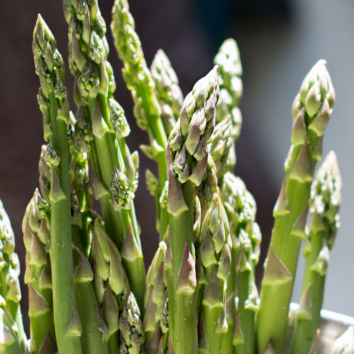 asparagus-detail-2021-08-29-04-30-49-utc