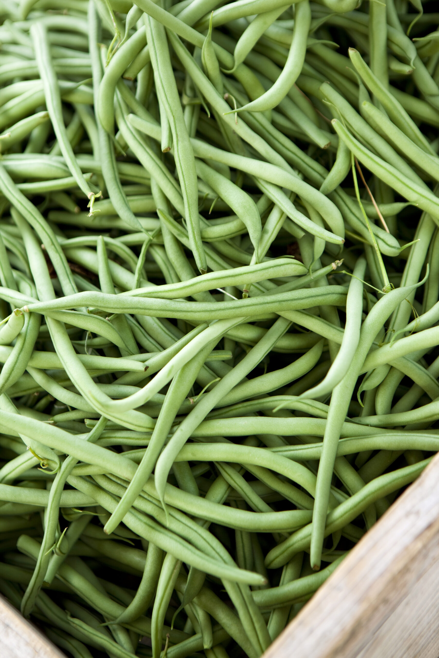 Background of green beans on a stall