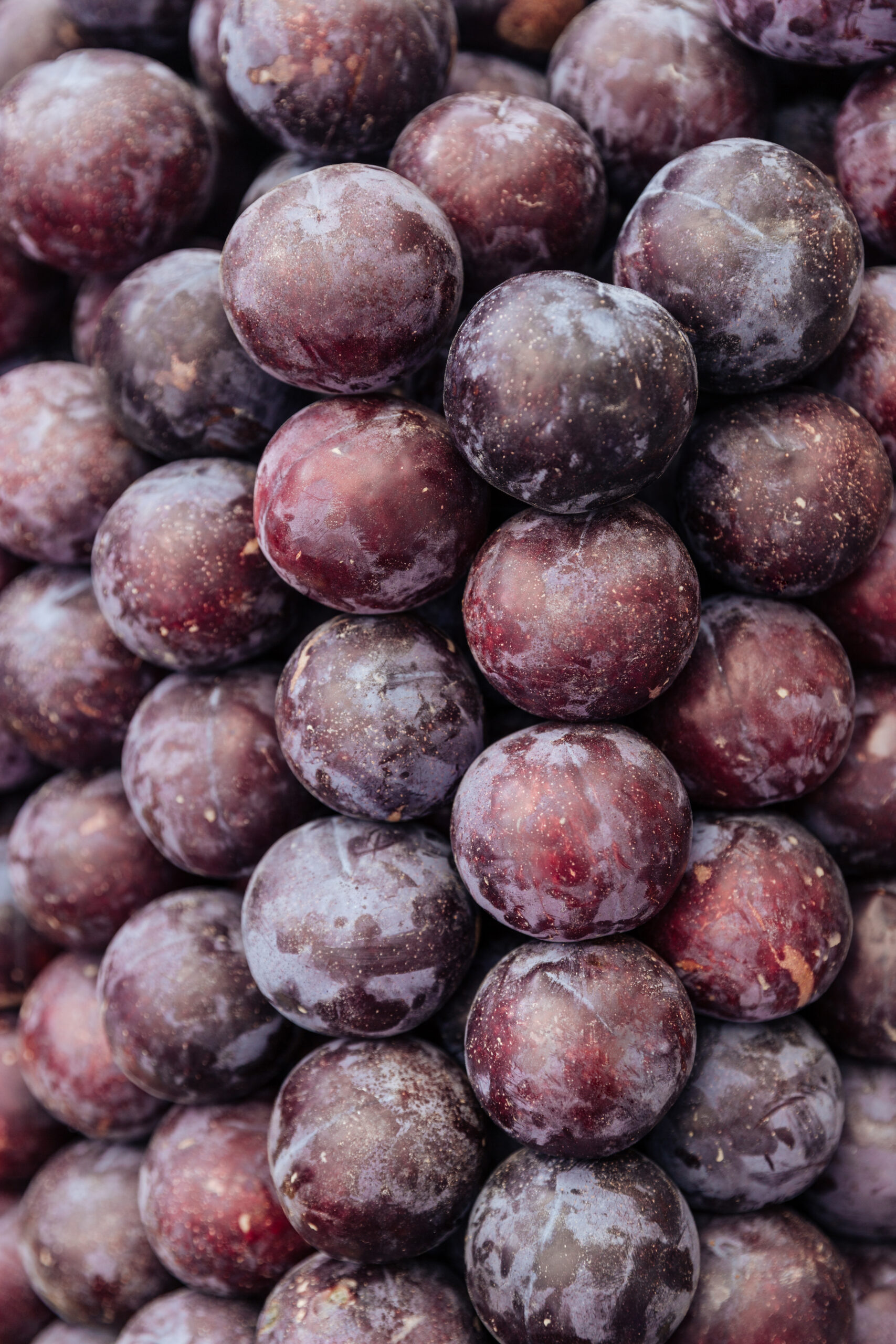 Close-up view of a heap of fresh juicy plums
