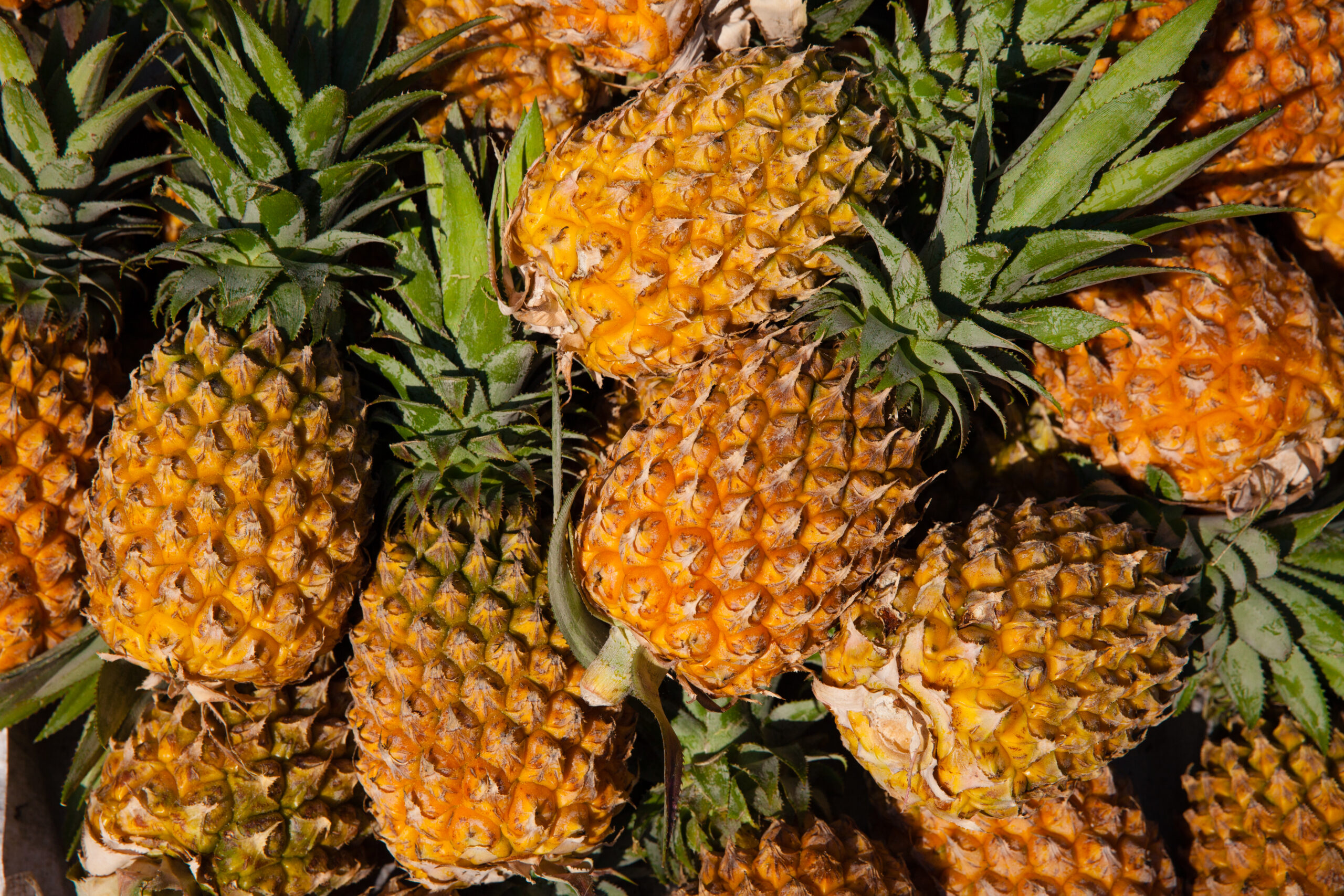 Pineapples at the street market, Vietnam