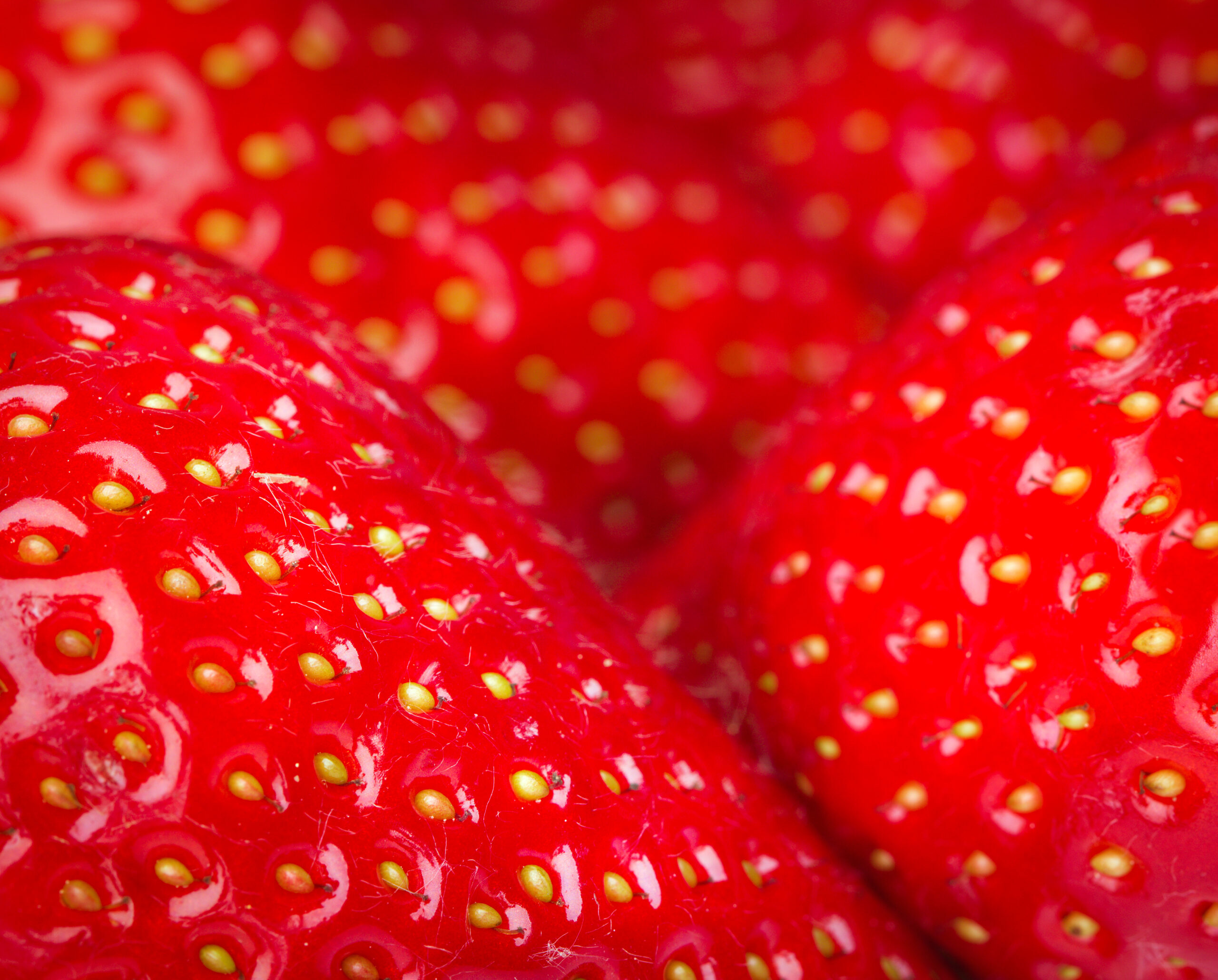 strawberries-2021-08-26-16-35-46-utc